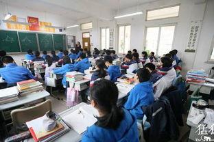 河南大学生爆料学校视频,校园视频揭露惊人真相